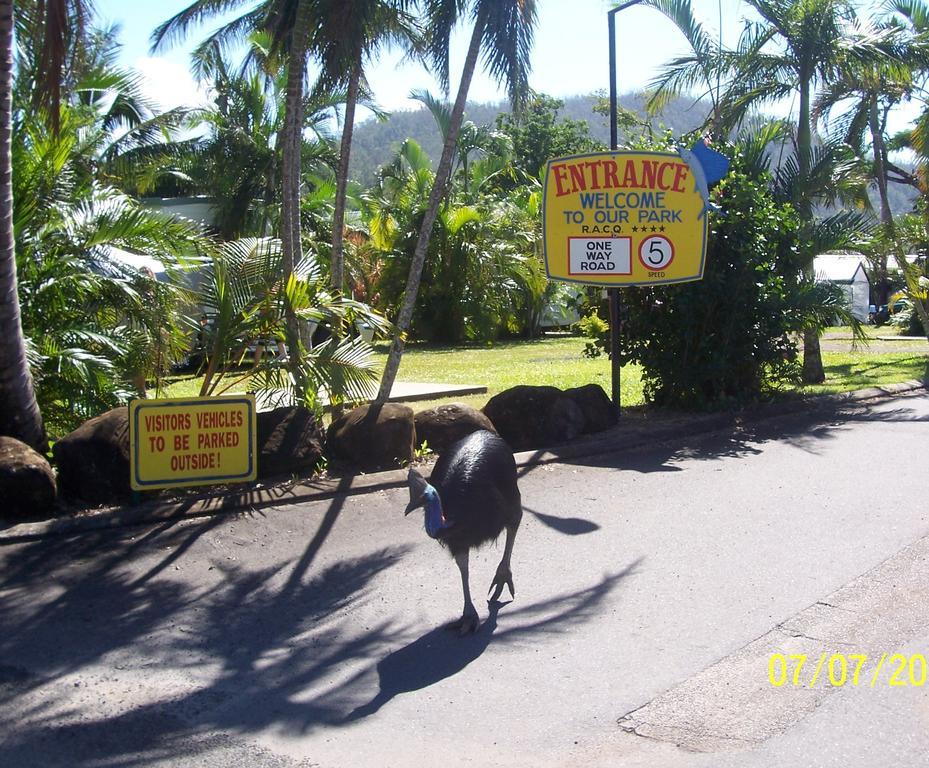 Flying Fish Point Tourist Park Innisfail Exterior foto