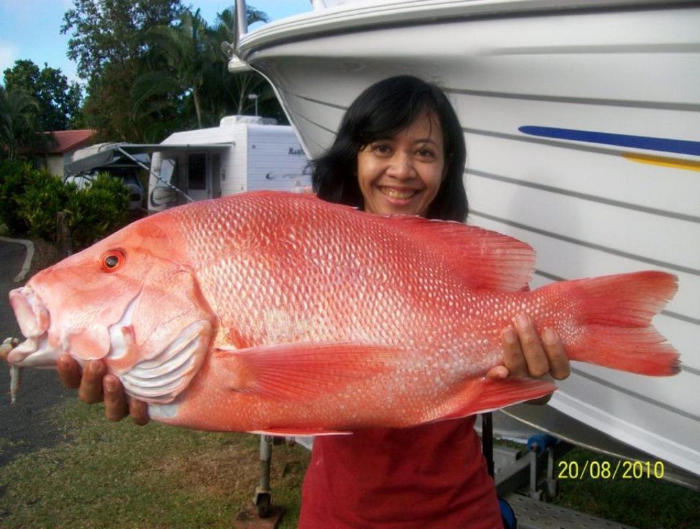 Flying Fish Point Tourist Park Innisfail Exterior foto