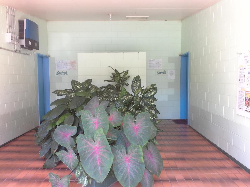 Flying Fish Point Tourist Park Innisfail Exterior foto