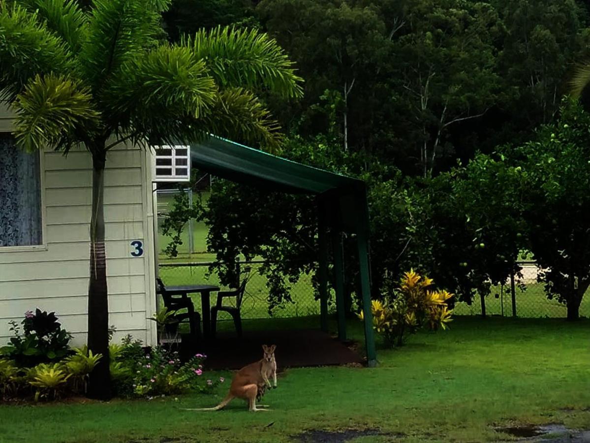 Flying Fish Point Tourist Park Innisfail Exterior foto